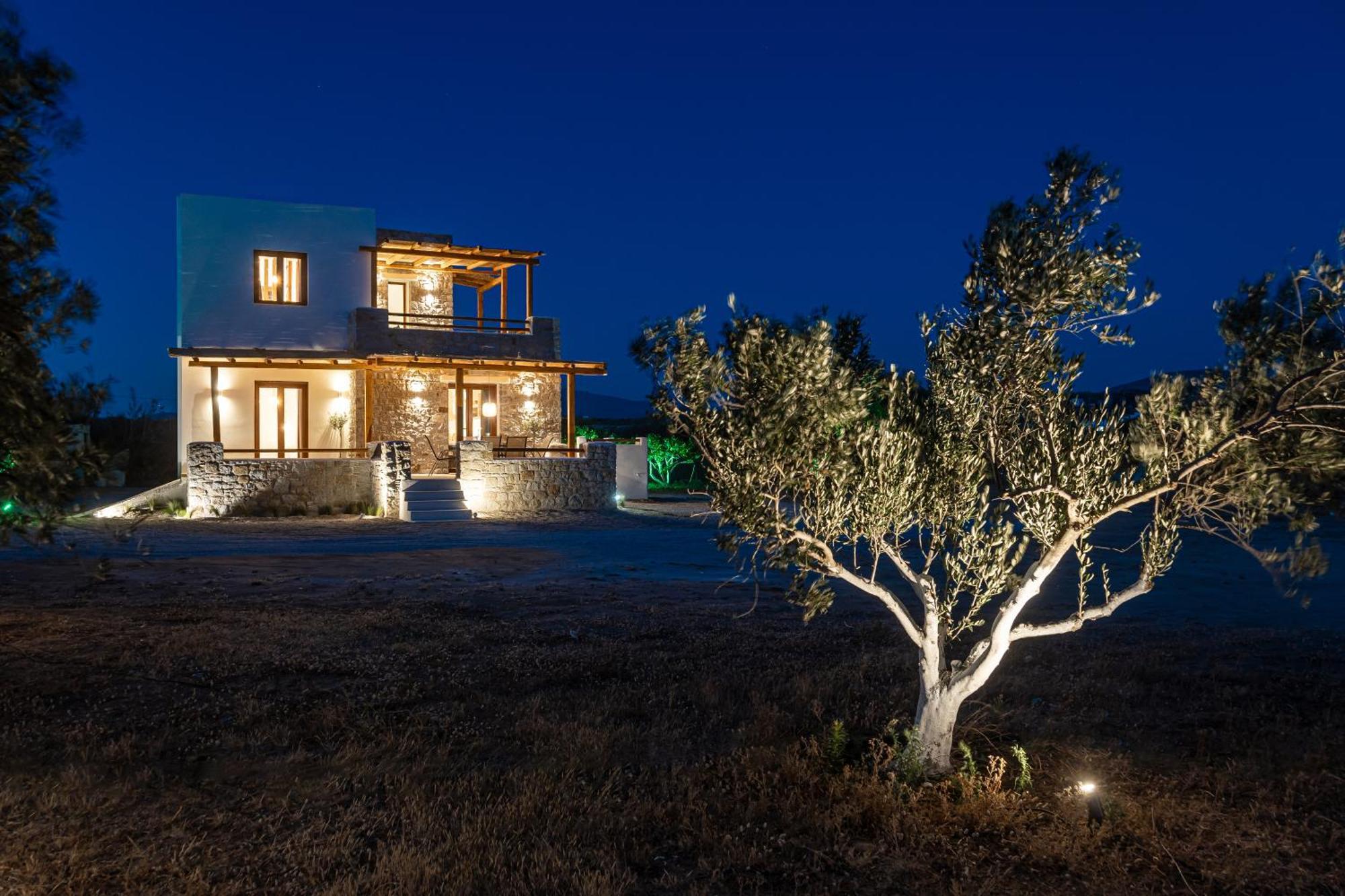 Naxos Beachwalk Villa Plaka Maragkas エクステリア 写真