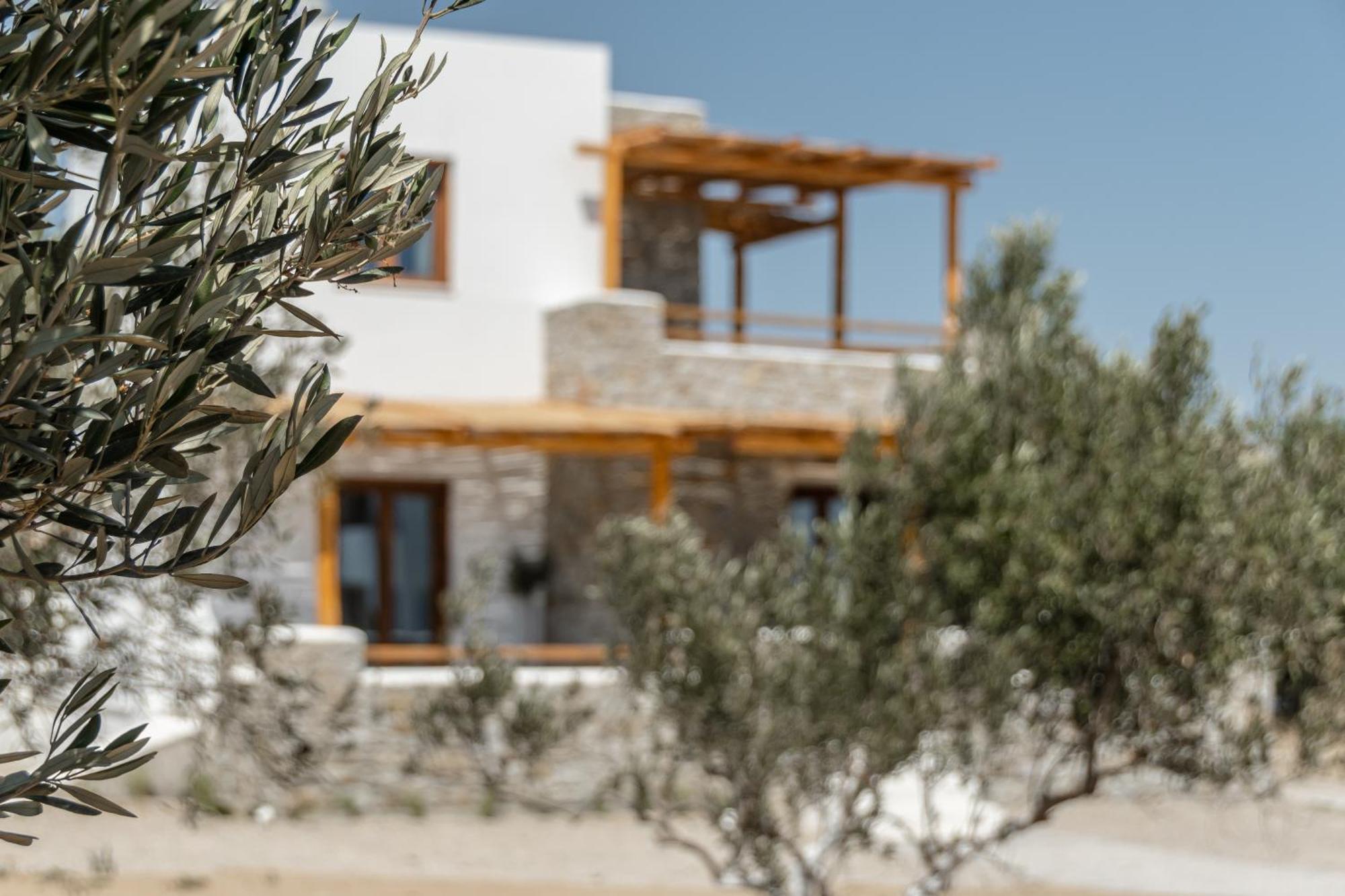 Naxos Beachwalk Villa Plaka Maragkas エクステリア 写真